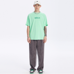 ICONS Lab T