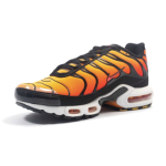 Nike Air Max Plus