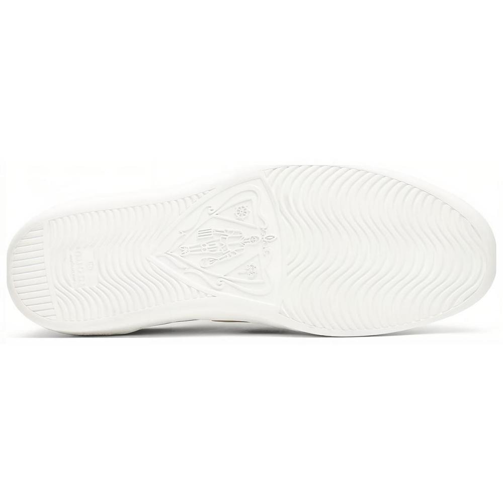 GUCCI ACE