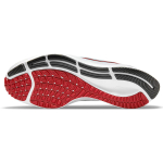Nike Pegasus 38