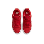 Nike Dunk Disrupt