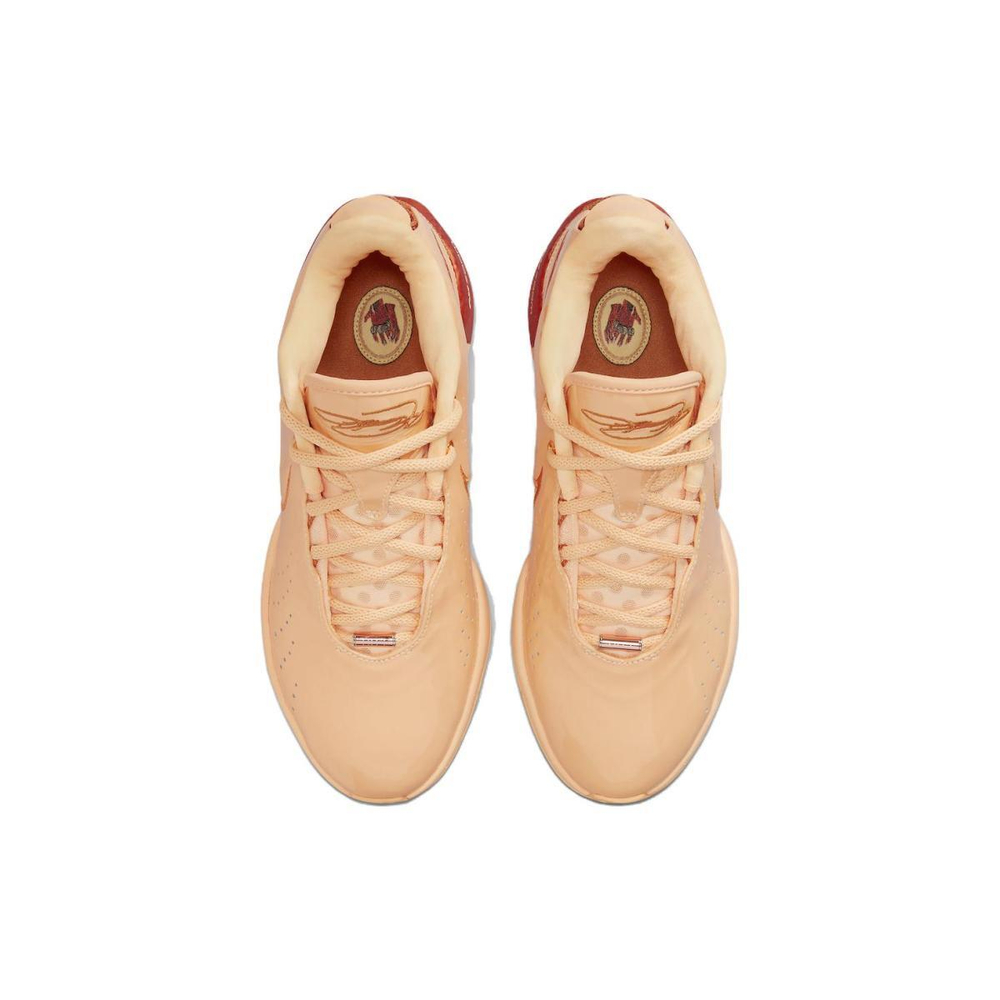 Nike Lebron 21 "Melo Melo"