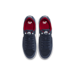 Nike SB Adversary