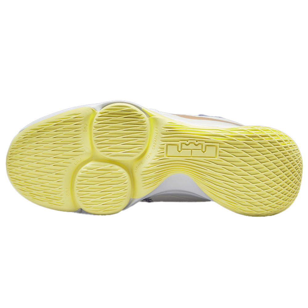 Nike Witness 5 Lebron EP "Lakers" TPU