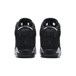 Jordan Air Jordan 6 Metallic Silver