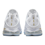 Nike Lebron 19