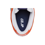 Nike Dunk JP What The