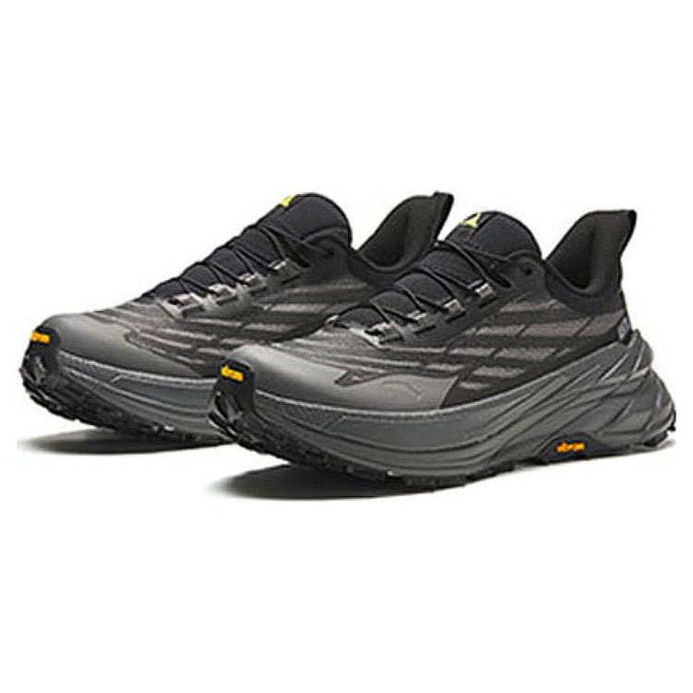 Anta