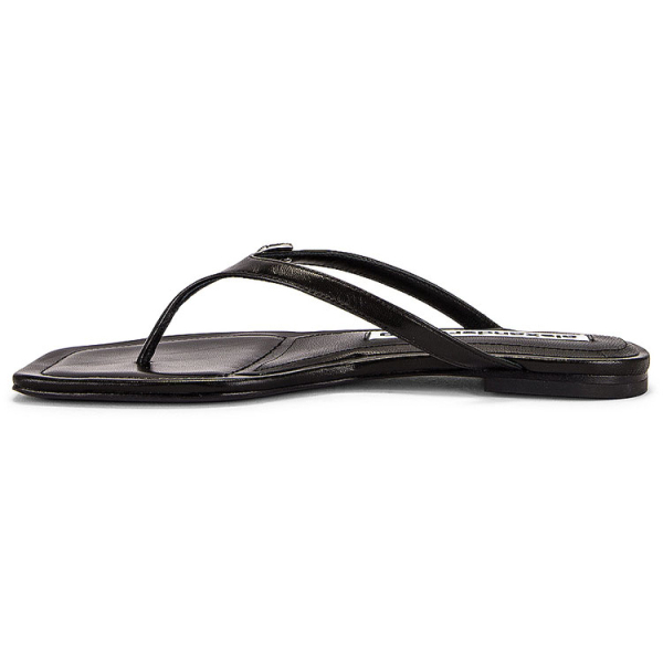 Alexander wang Ivy
