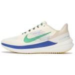 Nike Zoom Winflo 9 PRM
