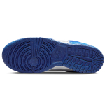 Nike Dunk Disrupt 2