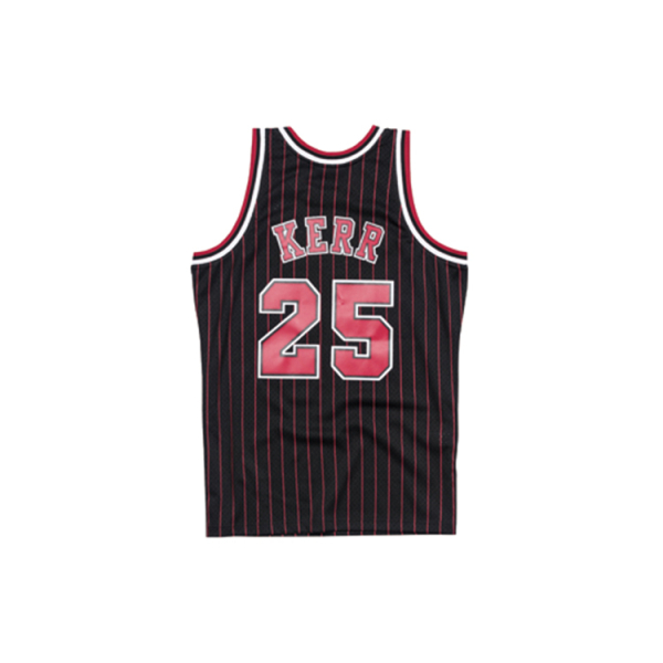 Mitchell & Ness SW NBA 95-96 25