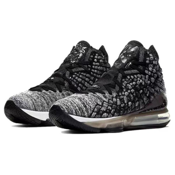 Nike Lebron 17