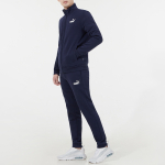 Puma Logo