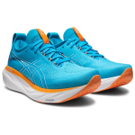 Asics GEL-Nimbus 25