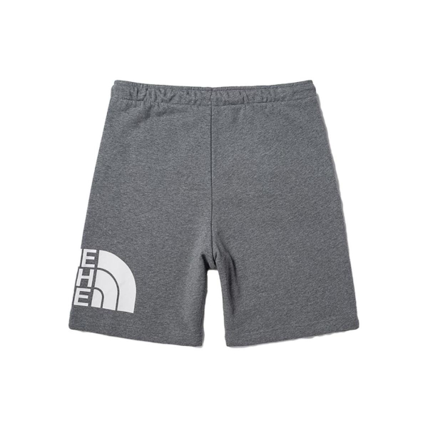 /THE NORTH FACE SS23 Logo