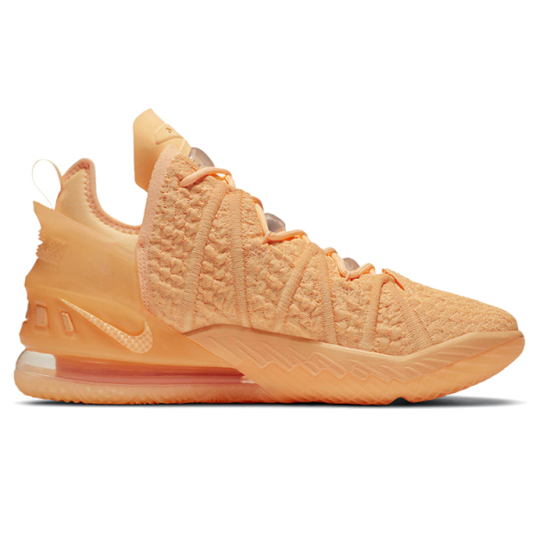 Nike Lebron 18