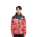 /THE NORTH FACE Logo