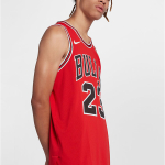 Jordan NBA Icon Edition Authentic Jersey (Chicago Bulls) AU