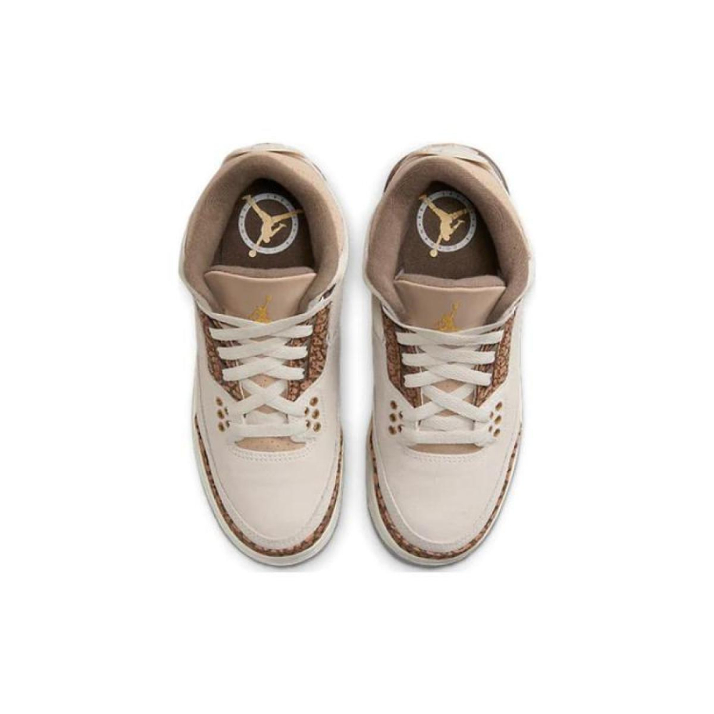 Jordan Air Jordan 3 "Orewood Brown"