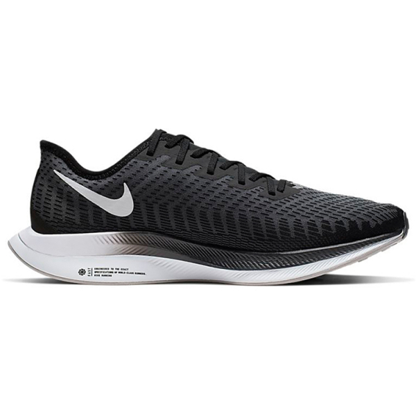Nike Pegasus turbo 2