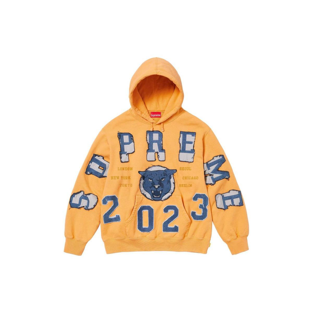 Supreme FW23 WEEK5 WASHED PANTHER HOODED SWEATSHIRT