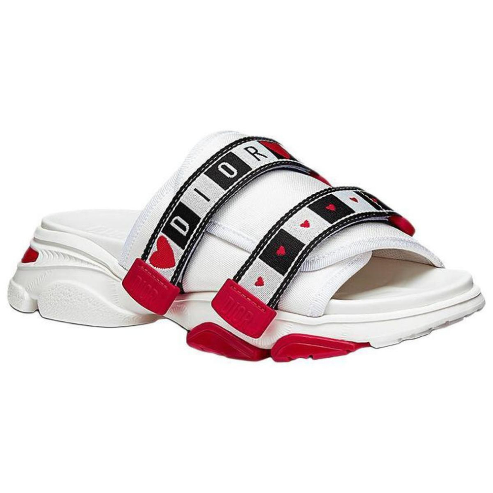 DIOR D-Wander