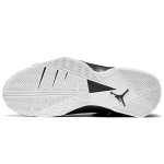 Jordan Air Jordan 7 True Flight