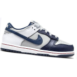 NBA x Nike Dunk emb "brooklyn nets"