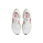 Nike Air Zoom Alphafly Next% 2 "Eliud Kipchoge"