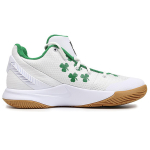 Nike Flytrap 2 Celtics"