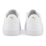 PUMA Zone