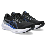 Asics Gel-Kayano 30