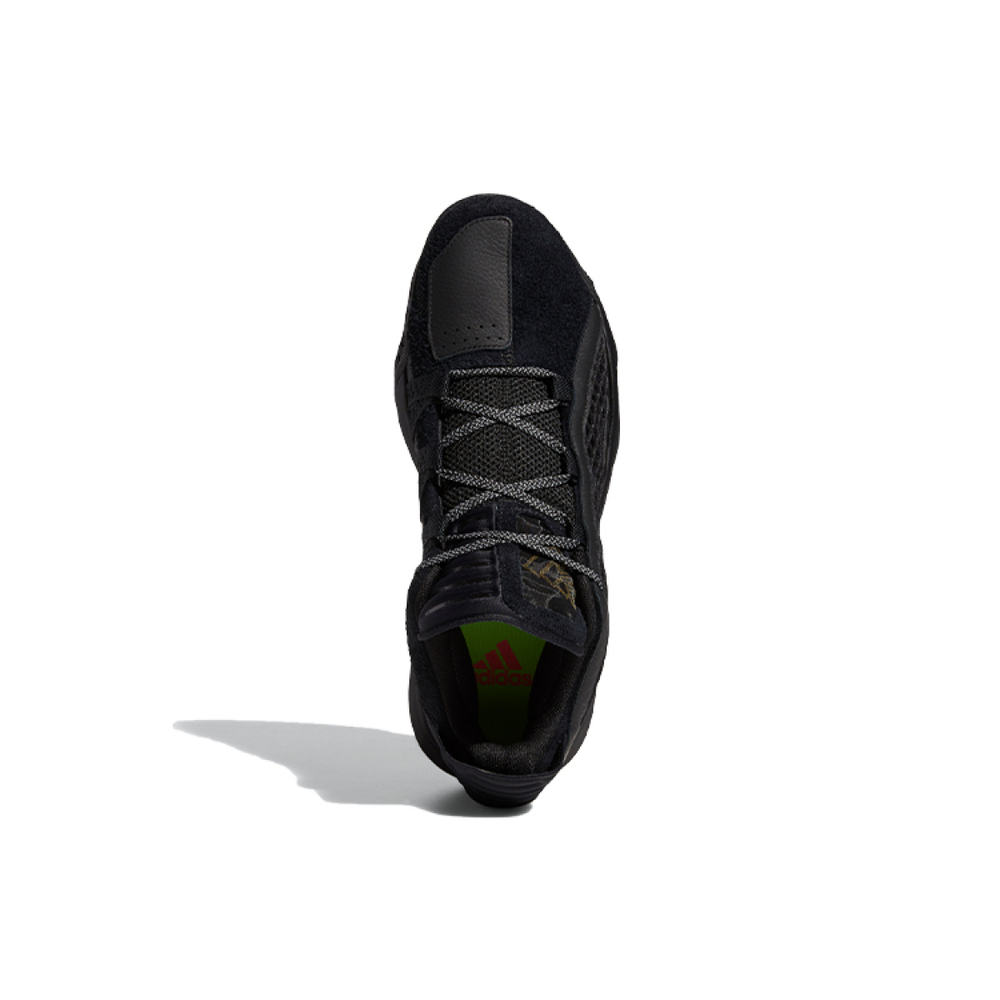 Adidas D lillard 6