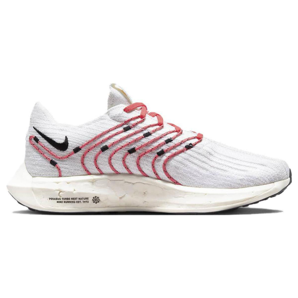 Nike Pegasus Turbo Next Nature