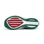 Saucony Triumph 21