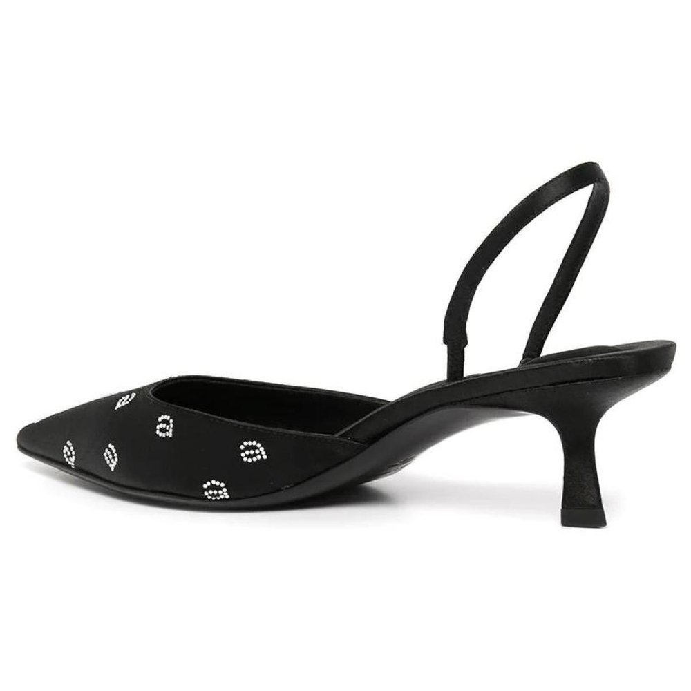 Alexander wang Delphine 65