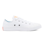 Converse Chuck Taylor All Star Low Top