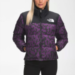 THE NORTH FACE 1996 Retro Nuptse 700