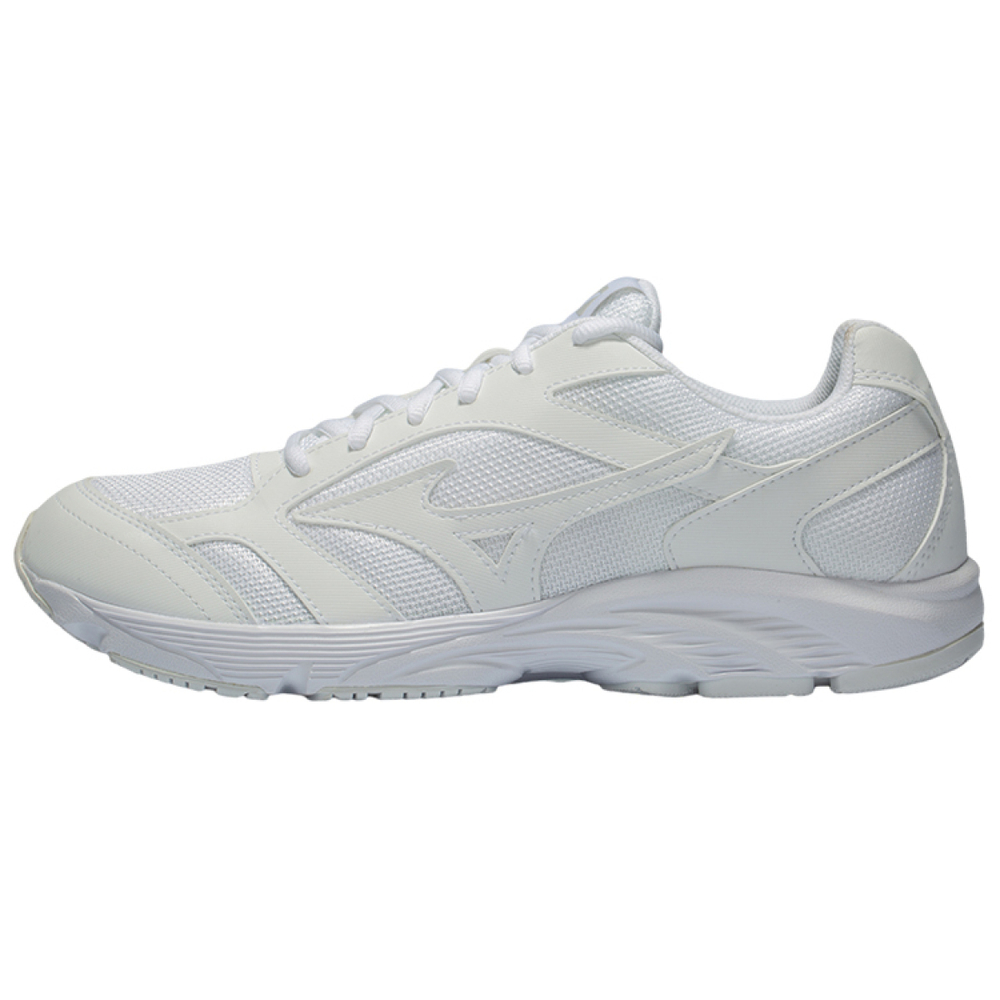 Mizuno