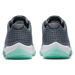Jordan Future Low