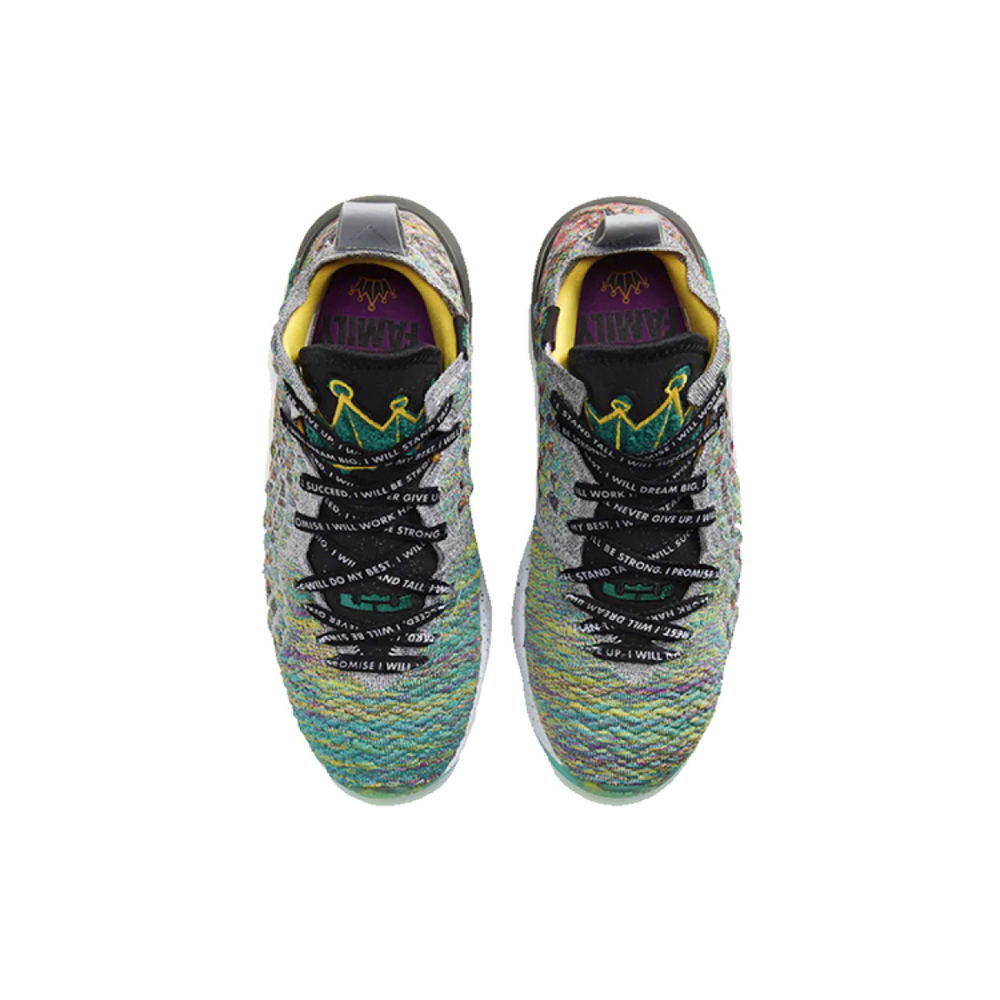 Nike Lebron 17 I Promise
