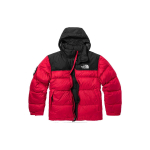 THE NORTH FACE 1992 30 Logo