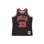 Mitchell & Ness NBA SW · 33