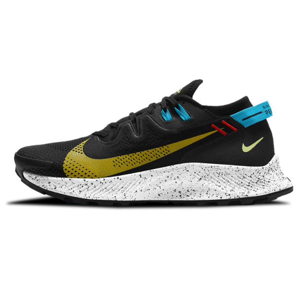 Nike Pegasus Trail 2 Zoom