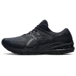 Asics GT-2000 10 2E