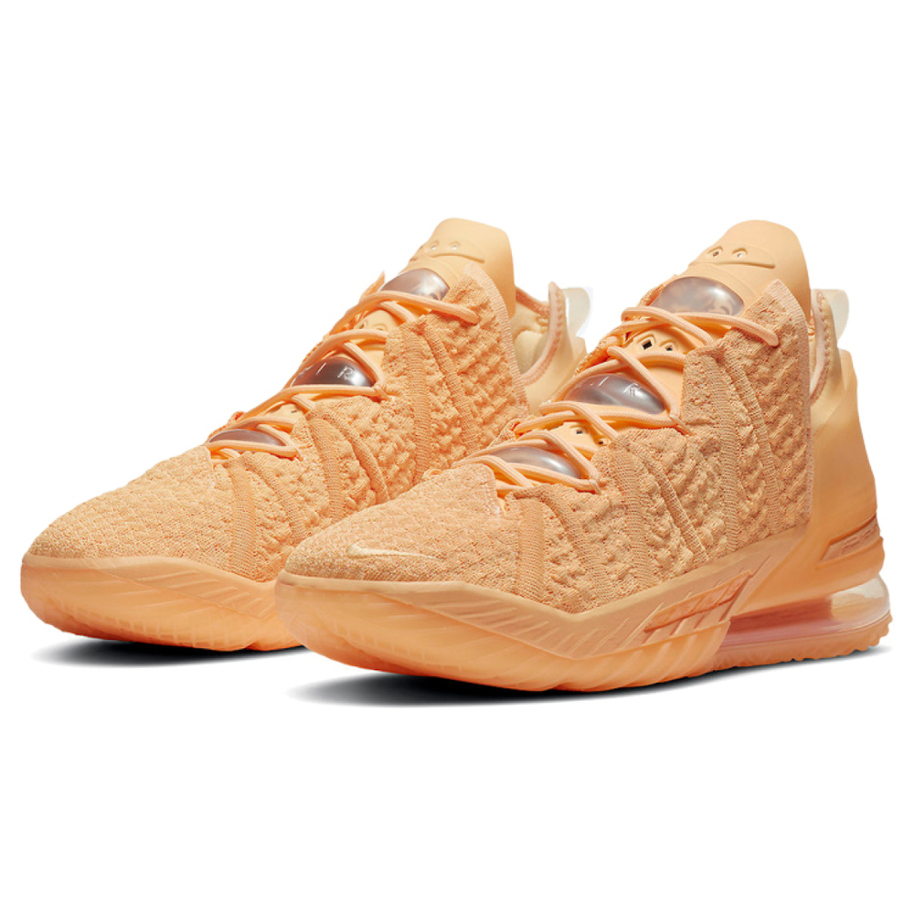 Nike Lebron 18