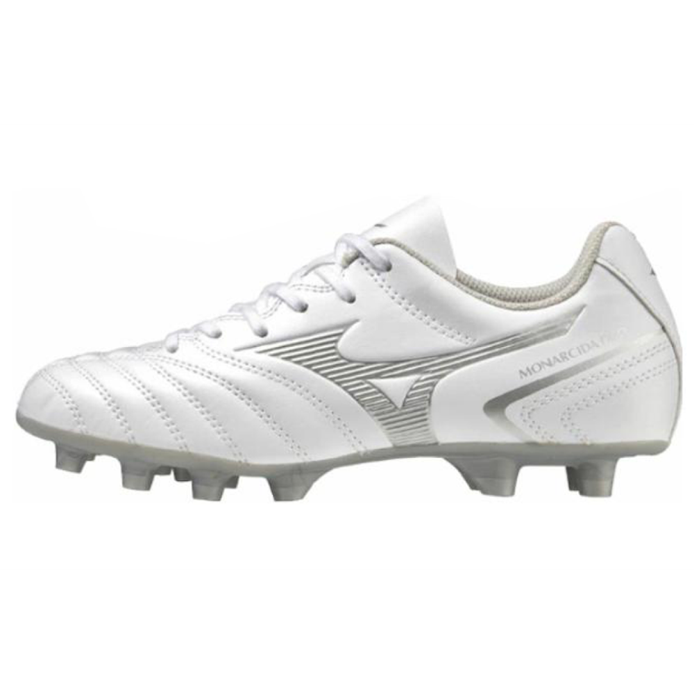 Mizuno Monarcida