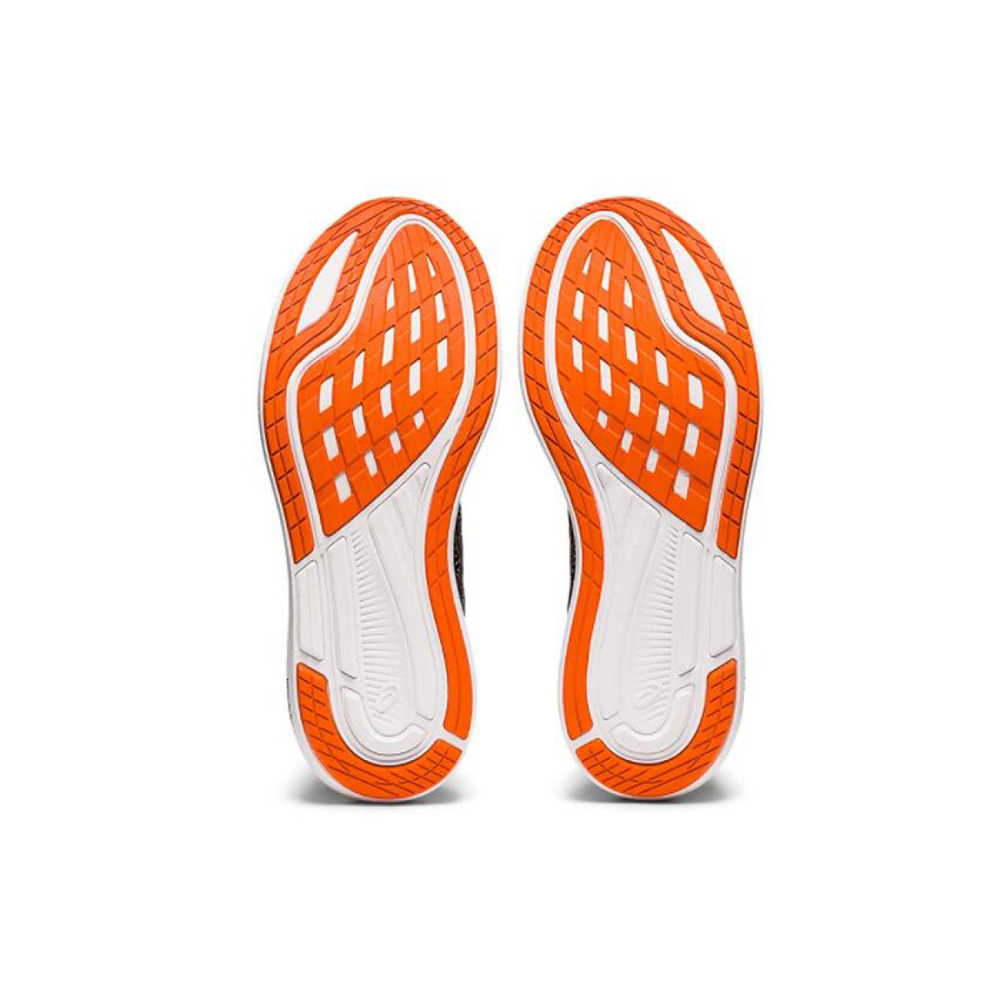 Asics EvoRide 2 AHAR+