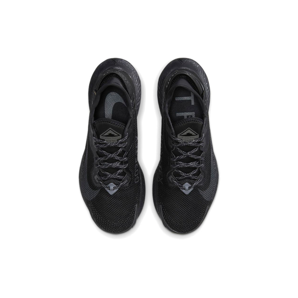 Nike Pegasus Trail 2